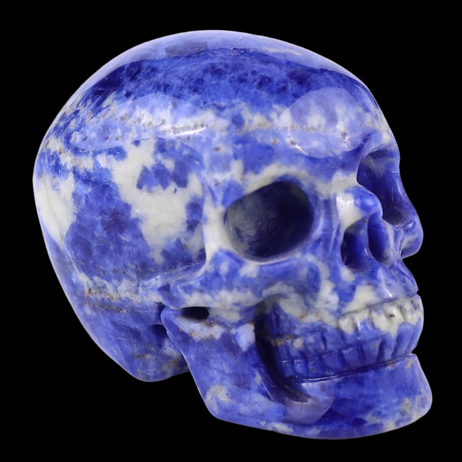 2.2" Sodalite Hand Carved Crystal Realistic Skull | No.036