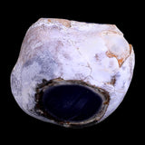 2.5" Blue Chalcedony Hand Carved Crystal Polished Point
