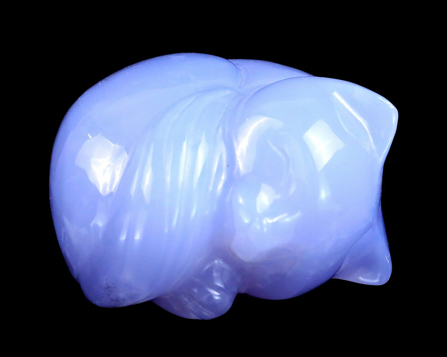 2.5" Blue Chalcedony Hand Carved Crystal Sleepy Cat