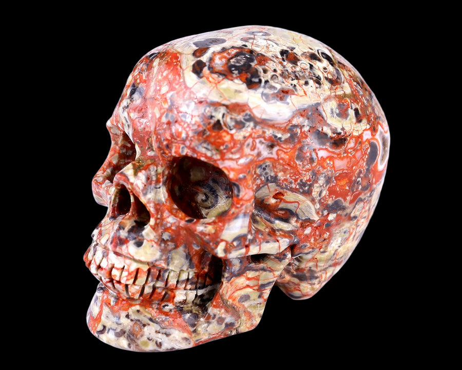 2.9" Money Agate Hand Carved Realistic Skull