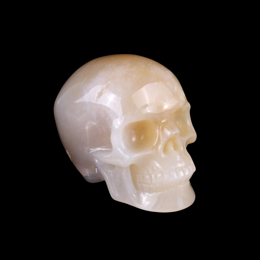 3.0" Agate Hand Carved Crystal Realistic Skull | No.051