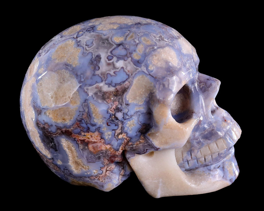 3.0" Blue Sakura Agate Hand Carved Realistic Skull