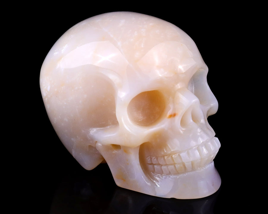 3.0" Chalcedony Hand Carved Realistic Skull