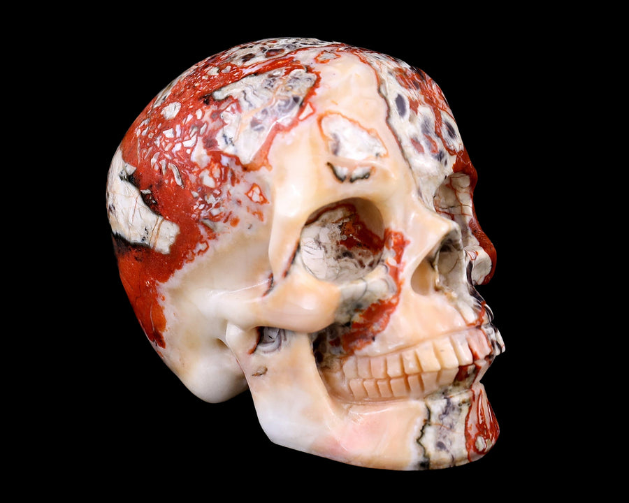 3.0" Money Agate Hand Carved Realistic Skull