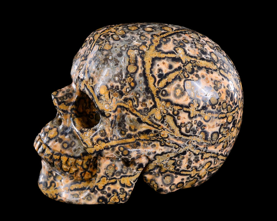 3.0" Leopard Skin Jasper Hand Carved Crystal Skull