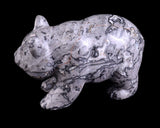 3.0" Grey Picture Jasper Hand Carved Crystal Panda