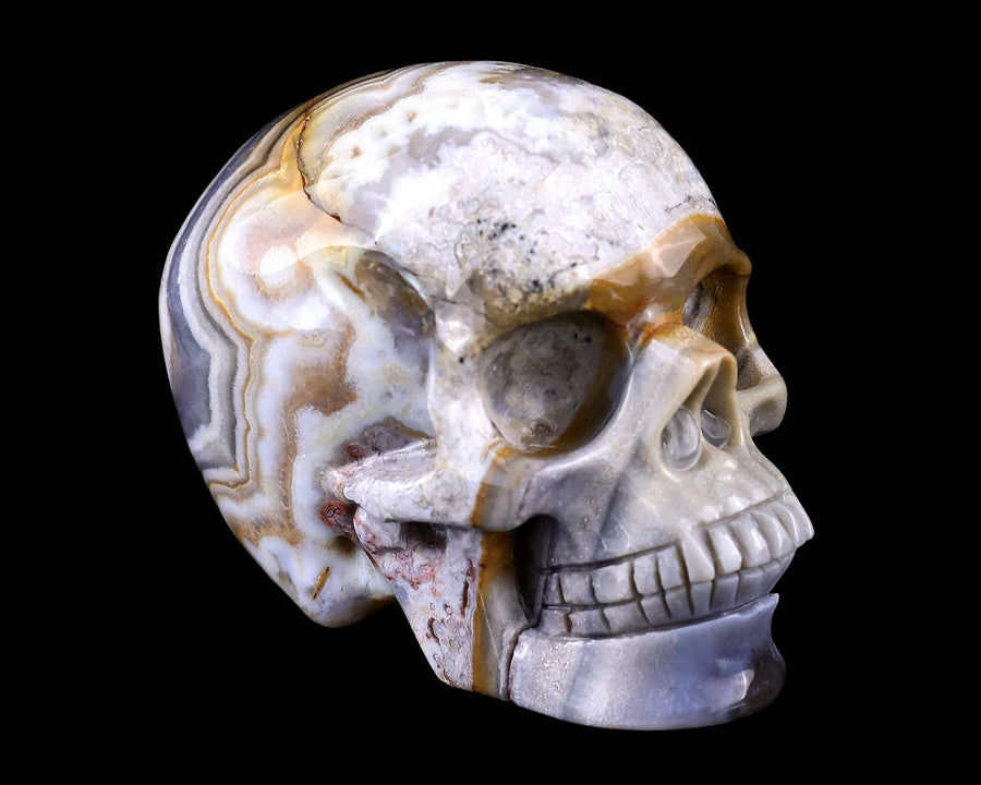 3.0" Red Crazy Lace Agate Hand Carved Realistic Skull | No.093