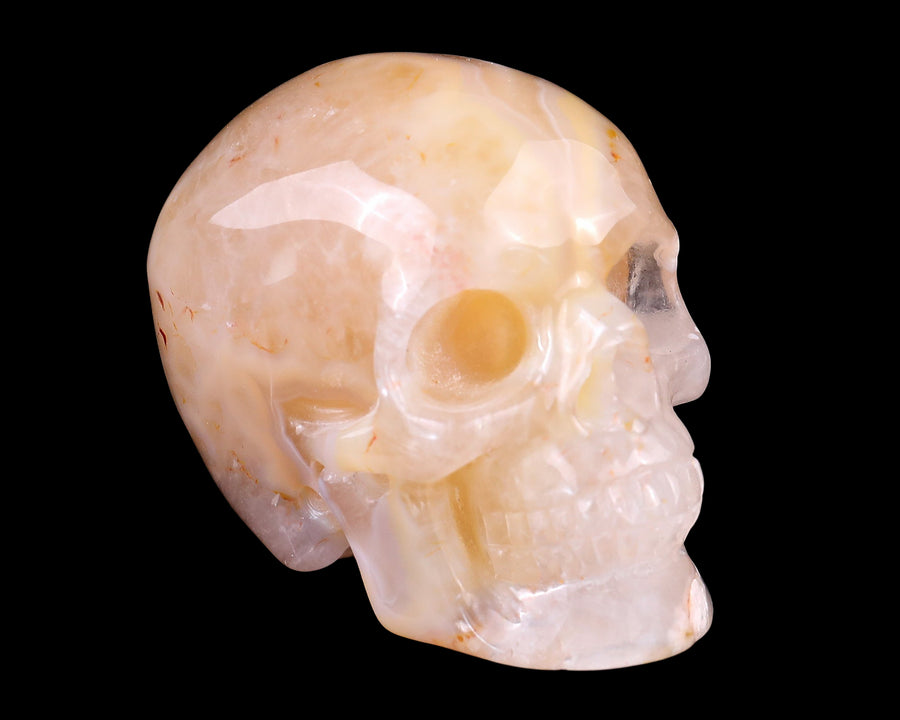3.0" Sakura Agate Hand Carved Realistic Skull | No.056