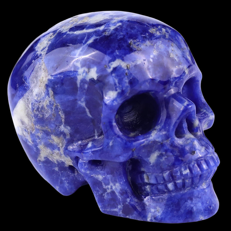 3.0" Sodalite Hand Carved Crystal Realistic Skull
