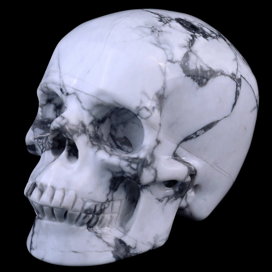 3.0" Howlite Hand Carved Crystal Realistic Skull | No.012