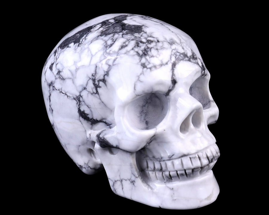3.0" Howlite Hand Carved Crystal Realistic Skull | No.099