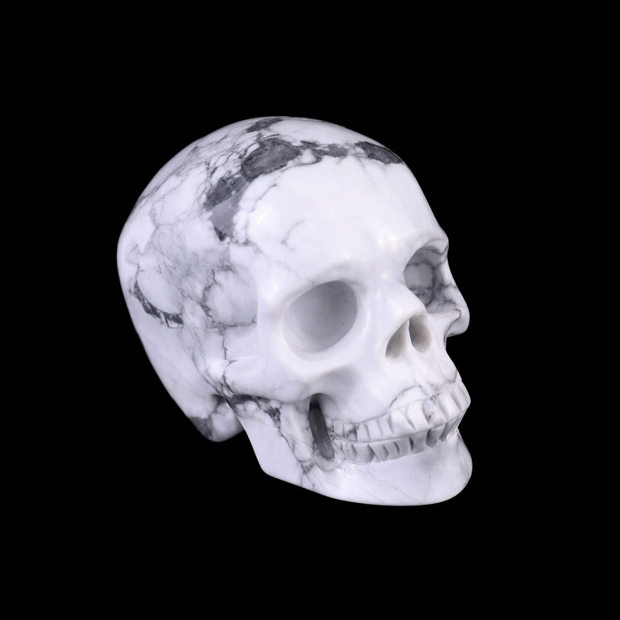 3.0" Howlite Hand Carved Crystal Realistic Skull | No.044
