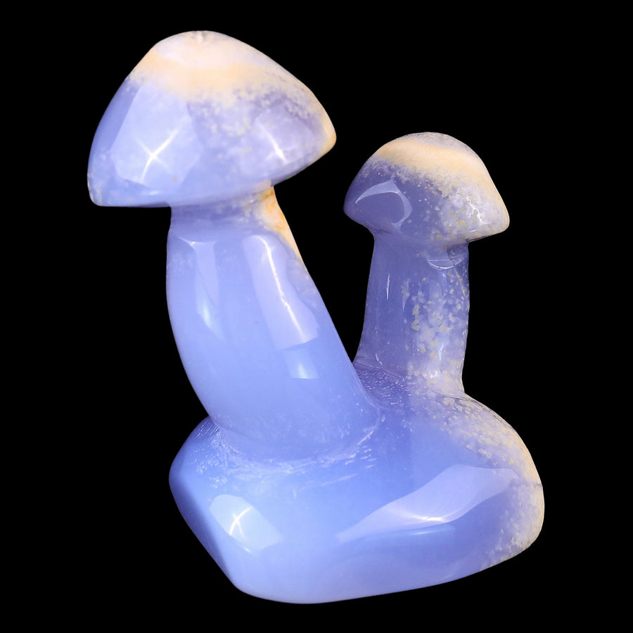3.1" Blue Chalcedony Hand Carved Crystal Mushrooms