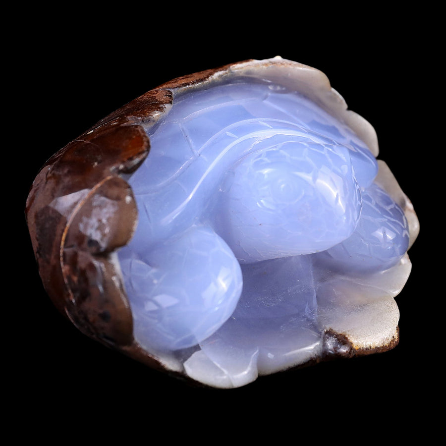 3.3" Blue Chalcedony Hand Carved Crystal Turtle