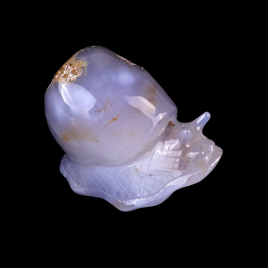 3.4" Blue Chalcedony Hand Carved Crystal Snail