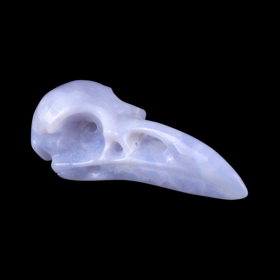 3.5" Blue Chalcedony Hand Carved Raven Skull