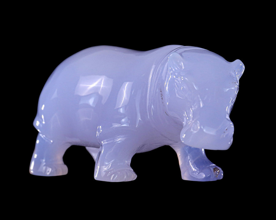 3.9" Blue Chalcedony Hand Carved Crystal Hippo