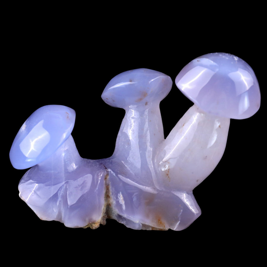 3.9" Blue Chalcedony Hand Carved Crystal Mushrooms