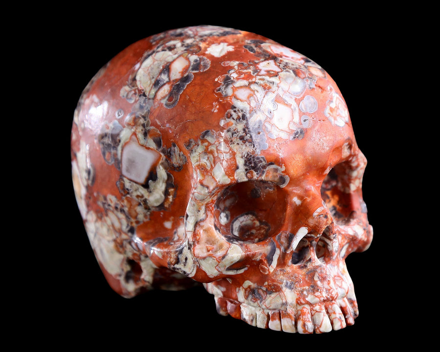 4.0" Money Agate Hand Carved Crystal Skull