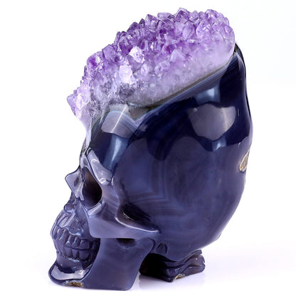 Kindred Vein 4.1" Amethyst Druse Agate Hand Carved Skull Sculpture (SKU: 2100040) - Photo 4