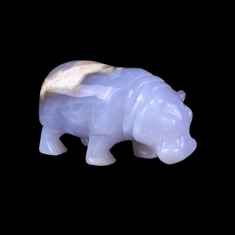 4.1" Blue Chalcedony Hand Carved Crystal Hippo