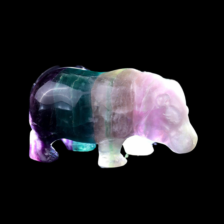 4.1" Colorful Fluorite Hand Carved Crystal Hippo