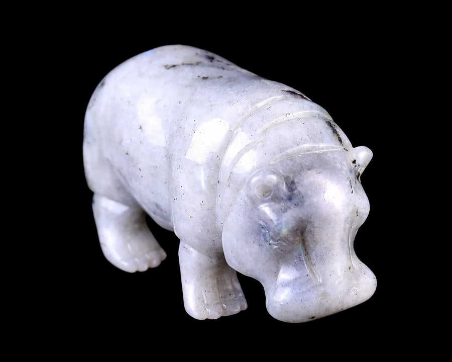 4.1" Labradorite Hand Carved Crystal Hippo