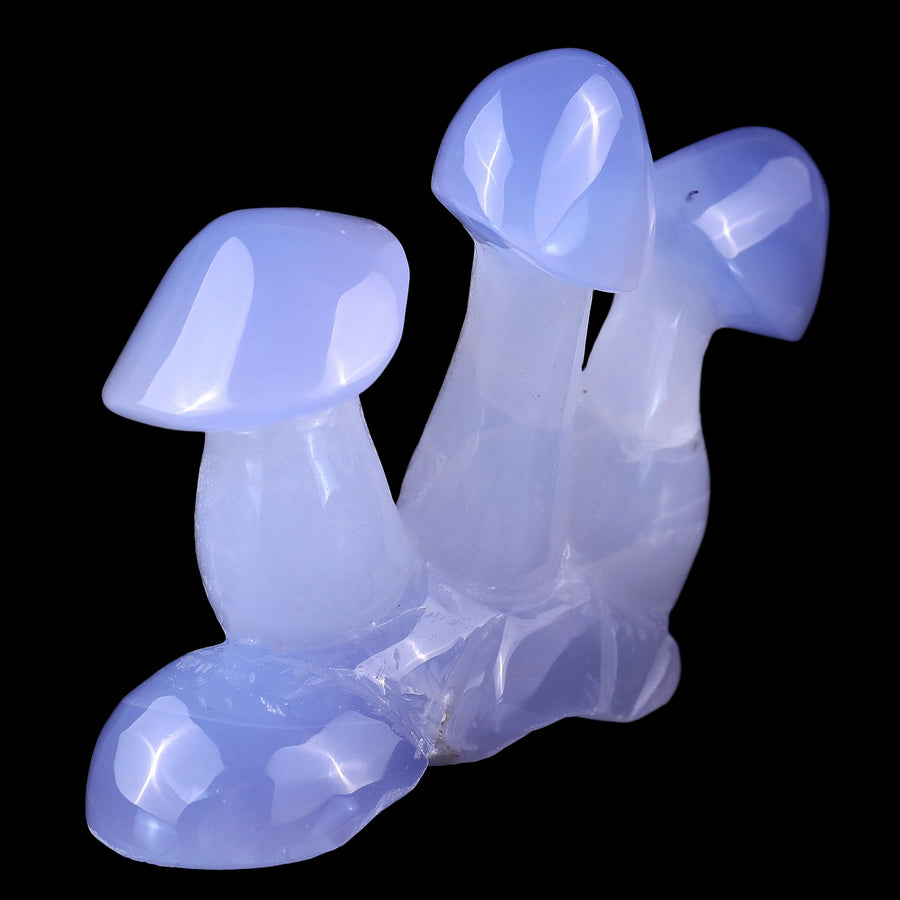 4.2" Blue Chalcedony Hand Carved Crystal Mushrooms | No.212