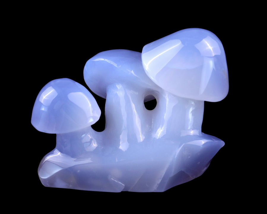 4.2" Blue Chalcedony Hand Carved Crystal Mushrooms | No.039