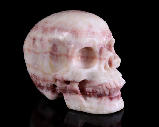 Kindred Vein 4.5" Red Zebra Agate Hand Carved Realistic Skull Sculpture (SKU: 5100146) - Photo 1