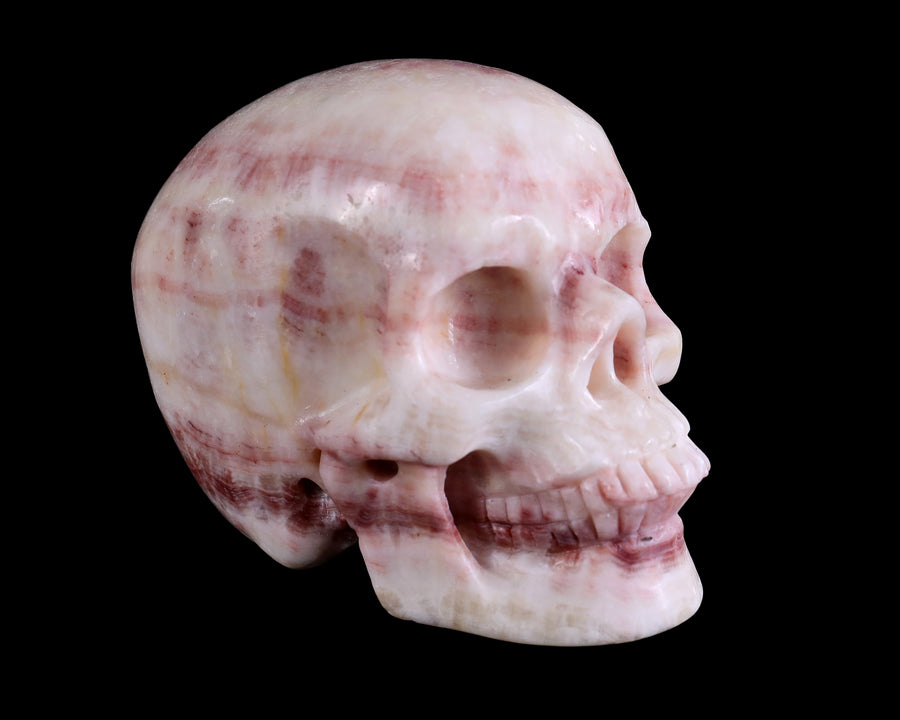 4.5" Red Zebra Agate Hand Carved Realistic Skull