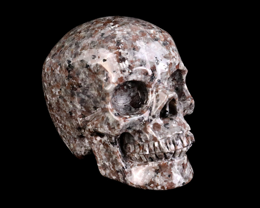 4.5" Yooperlite Hand Carved Realistic Skull