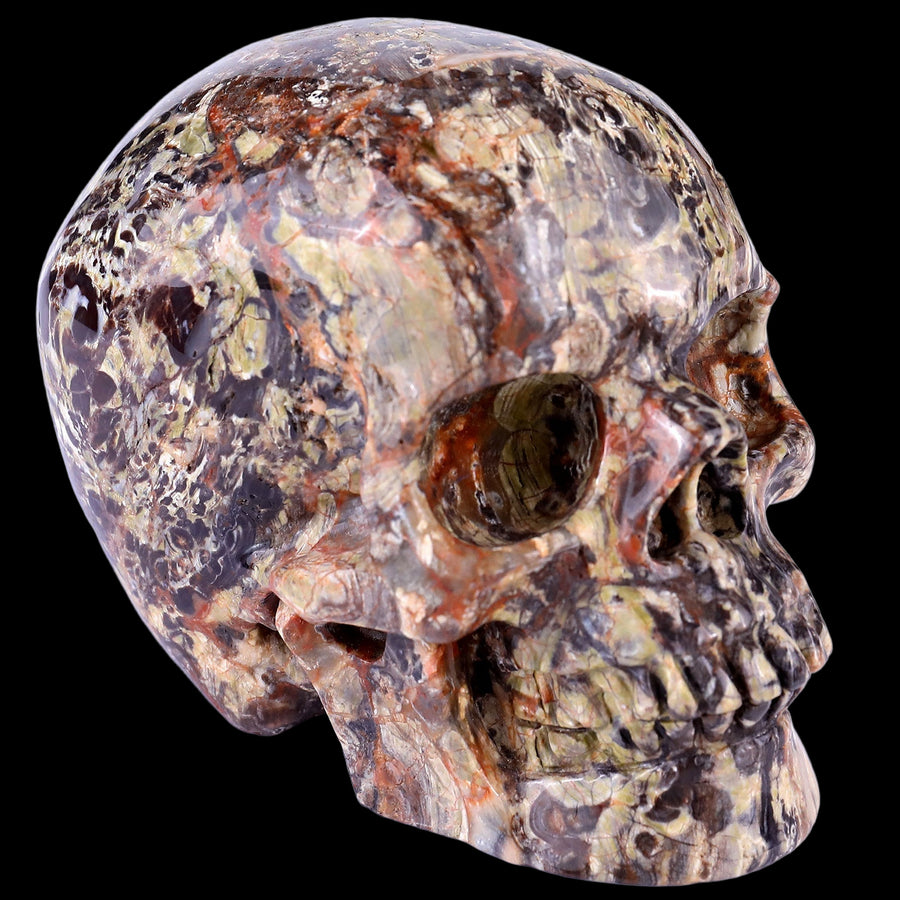 4.4" Money Agate Hand Carved Realistic Skull | No.251