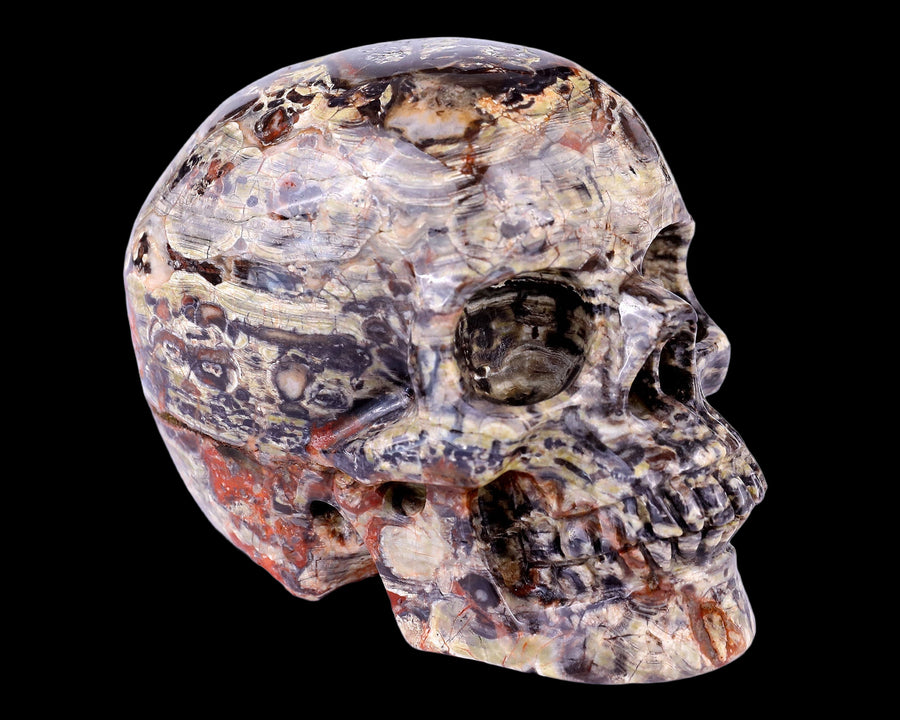 4.4" Money Agate Hand Carved Realistic Skull | No.068