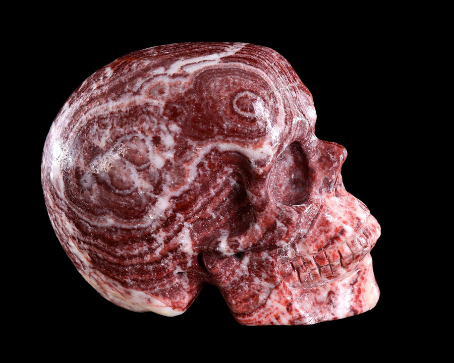 4.4" Red Zebra Agate Hand Carved Crystal Skull