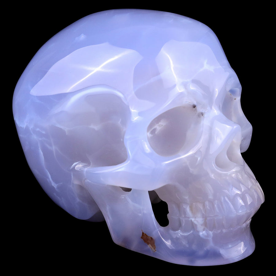 4.6" Blue Chalcedony Hand Carved Realistic Skull