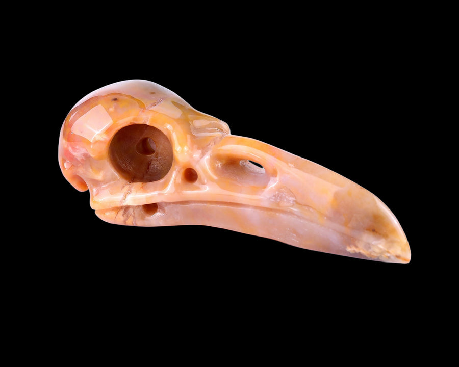 5.0" Chalcedony Hand Carved Crystal Raven Skull