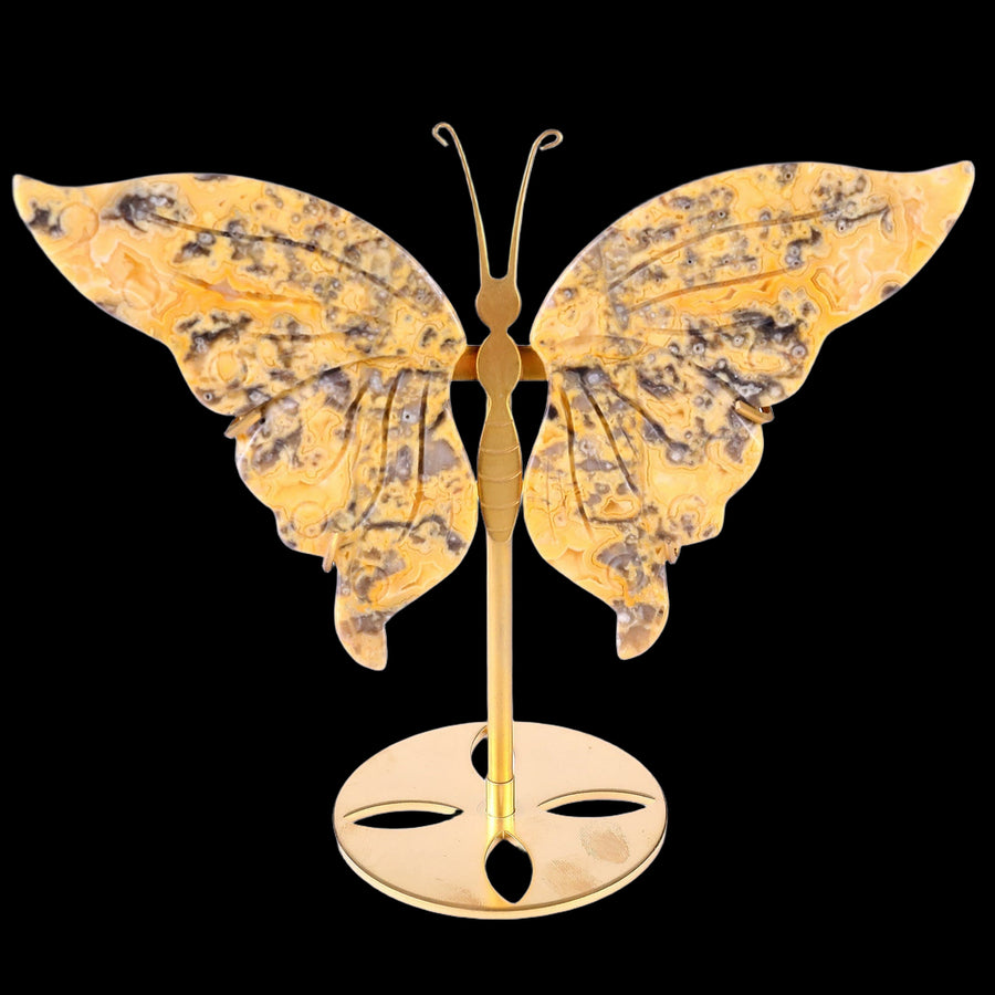 5.0" Crazy Agate Hand Carved Butterfly Wings