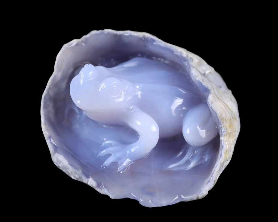 5.3" Blue Chalcedony Hand Carved Crystal Frog