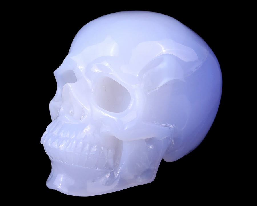 5.6" Blue Chalcedony Hand Carved Realistic Skull