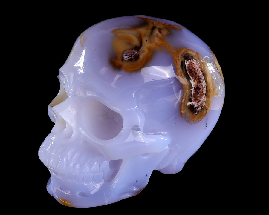 5.7" Blue Chalcedony Hand Carved Realistic Skull