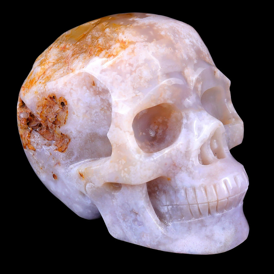 5.7" Sakura Agate Hand Carved Realistic Skull