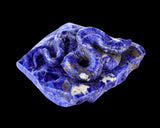 5.9" Sodalite Hand Carved Crystal Snake