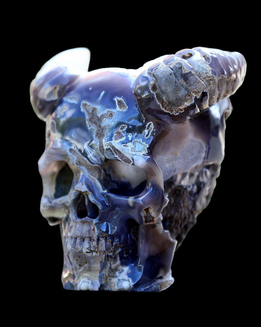 6.0" Quartz Rock Druse Hand Carved Geode Skull with Horn