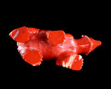 6.5" Red Jasper Hand Carved Crystal Polar Bear