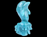 6.5" Amazonite Blue Chalcedony Hand Carved Dolphin