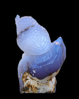 6.5" Blue Chalcedony Hand Carved Crystal Owl