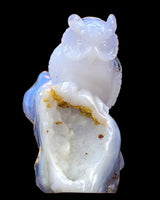 6.5" Blue Chalcedony Hand Carved Crystal Owl