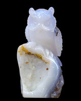 6.5" Blue Chalcedony Hand Carved Crystal Owl