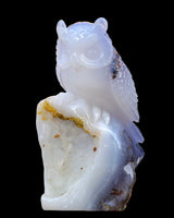 6.5" Blue Chalcedony Hand Carved Crystal Owl